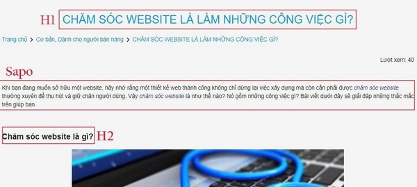 Sapo trong SEO là gì 1