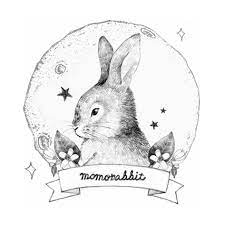 dự án content Momo Rabbit